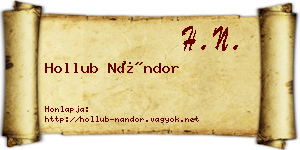 Hollub Nándor névjegykártya